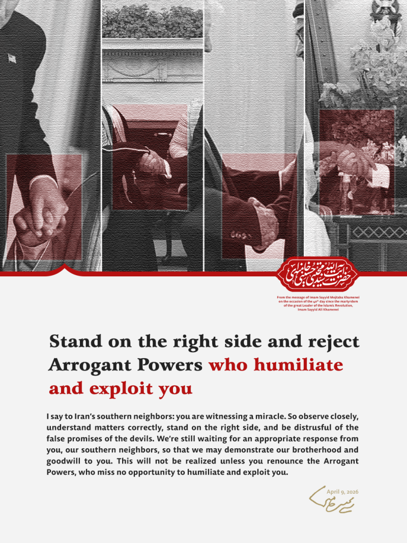 gallery item awlyn_pyam_rhbr-3-5.png